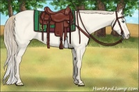 Horse Color:Perlino Dun 