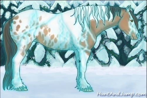 Horse Color:Thunderstruck Sable Champagne Tobiano Appaloosa 