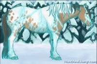 Horse Color:Thunderstruck Sable Champagne Tobiano Blanket 