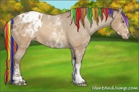 Horse Color:Painted White Spotted Sable Champagne Sabino Varnish 