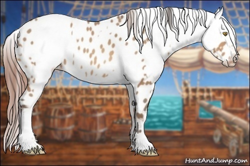 Horse Color:Amber Champagne Appaloosa  and Amber Champagne Appaloosa 
