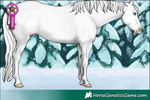 Horse Color:Silver Black Pearl Splash Frame Appaloosa Rabicano 