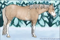 Horse Color:Silver Black Pearl Sabino Rabicano