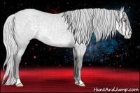 Horse Color:Silver Black Chinchilla Pearl 