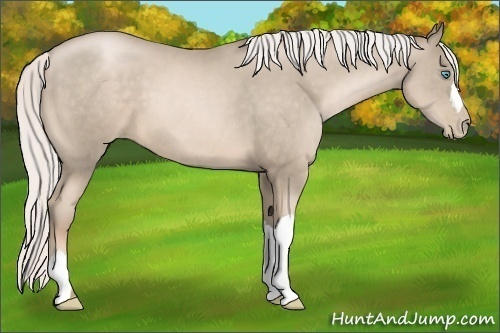 Horse Color:Silver Smoky Black Pearl