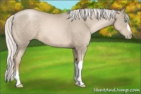 Horse Color:Silver Smoky Black Pearl 