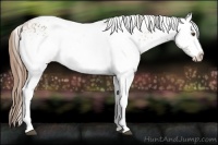 Horse Color:White Spotted Brown Ice Pearl Blanket Rabicano 