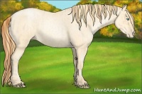 Horse Color:Buckskin Roan Pearl  and Buckskin Roan Pearl Rabicano 