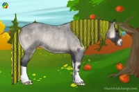 Horse Color:Painted Blue Onyx Roan Rabicano 