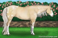 Horse Color:Silver Bay Pearl Dun Sabino 