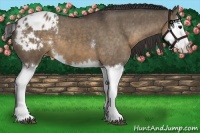 Horse Color:White Spotted Brown Dun Splash Varnish