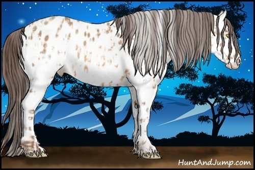 Horse Color:Amber Champagne Near Leopard and White Spotted Amber Champagne Near Leopard
