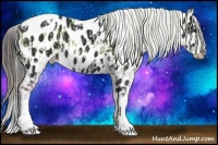 Horse Color:Classic Champagne Dun Tobiano Appaloosa and White Spotted Liver Chestnut Appaloosa