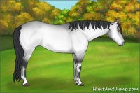 Horse Color:Brown Chinchilla Onyx 