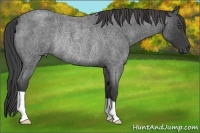 Horse Color:Smoky Blue Roan Rabicano 