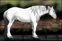 Horse Color:Sable Champagne Chinchilla Onyx Tobiano