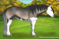 Horse Color:Blue Onyx Splash