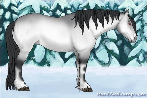 Horse Color:Brown Chinchilla Onyx