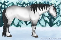 Horse Color:Brown Chinchilla Onyx 