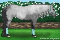 Horse Color:Blue Roan 