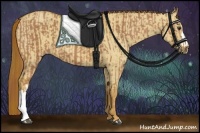 Horse Color:Chestnut  and Red Dun 