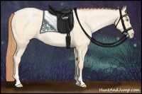 Horse Color:Buckskin Roan Pearl  and Amber Cream Champagne Roan Pearl 