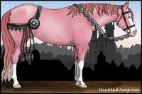 Horse Color:Buckskin Pearl Splash 