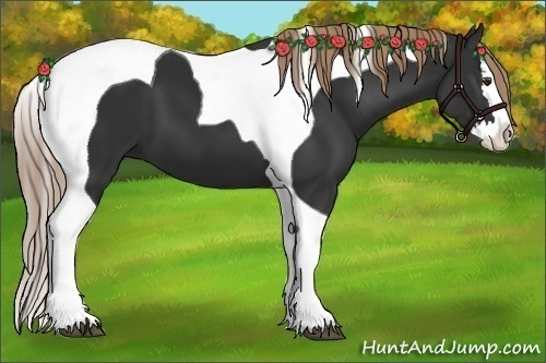 Horse Color:Liver Chestnut Splash Tobiano