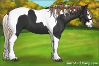 Horse Color:Liver Chestnut Splash Tobiano 