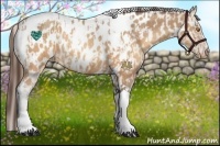 Horse Color:Sable Champagne Sabino Tobiano Appaloosa and Sable Champagne Sabino Tobiano Appaloosa