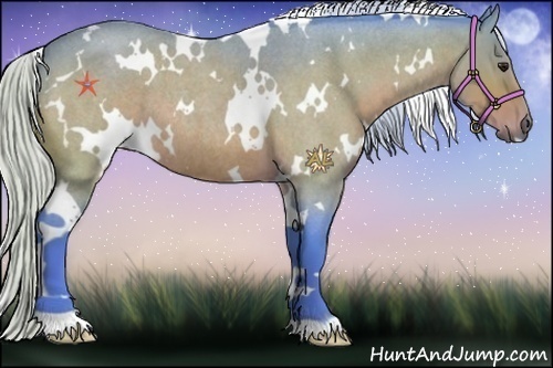 Horse Color:Watercolor White Spotted Silver Bay Roan