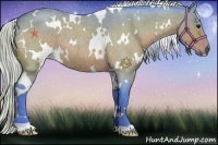Horse Color:Watercolor White Spotted Silver Bay Roan 