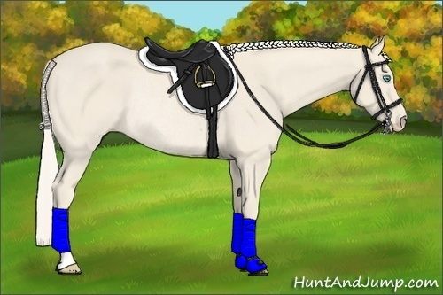 Horse Color:Cremello Rabicano
