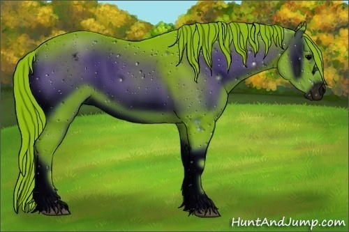 Horse Color:ERROR: UNKNOWN ANOMALY