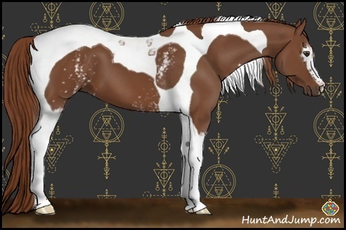 Horse Color:White Spotted Chestnut Tobiano 