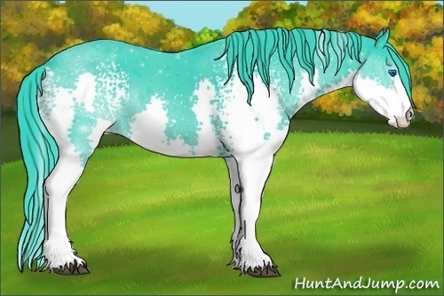 Horse Color:Watercolor White Spotted Black Splash 