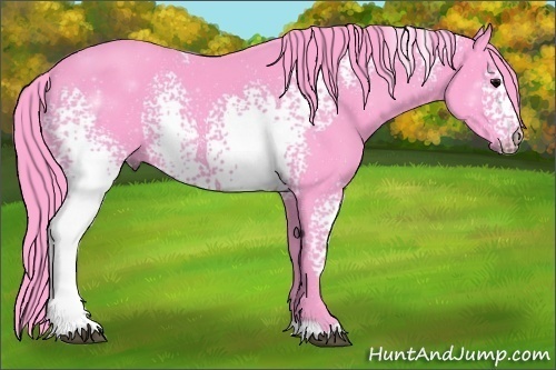 Horse Color:Watercolor White Spotted Black