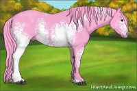 Horse Color:Watercolor White Spotted Black 