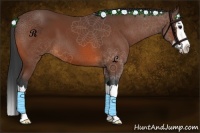 Horse Color:Bay Sabino Splash 