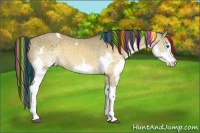 Horse Color:Painted White Spotted Buckskin Dun Splash Tobiano