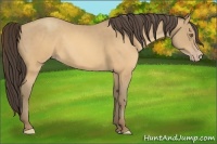 Horse Color:Sable Cream Champagne 