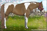 Horse Color:Chocolate Palomino Splash Tobiano 