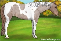 Horse Color:Red Roan Tobiano Varnish 
