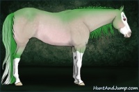 Horse Color:Watercolor Bay Chinchilla Splash Rabicano