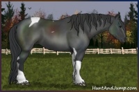 Horse Color:Black Sabino Tobiano