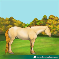 Horse Color:Buckskin Pearl Dun 