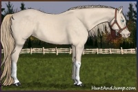 Horse Color:Perlino 