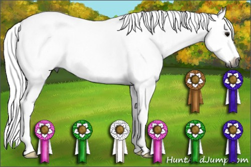 Horse Color:Gray Black Sabino 