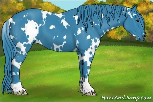 Horse Color:Watercolor White Spotted Black 