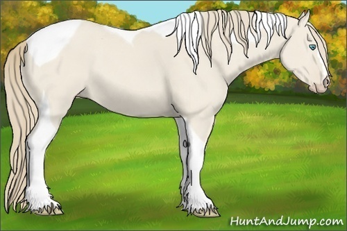 Horse Color:Smoky Creme Dun Tobiano